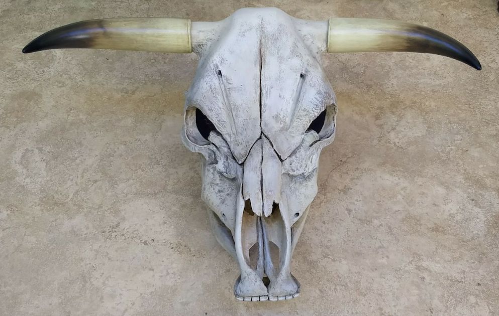 Cabeza de vaca