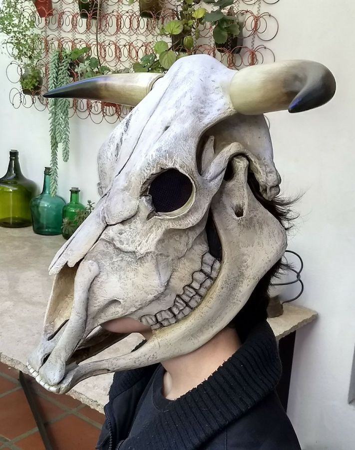 Cabeza de vaca