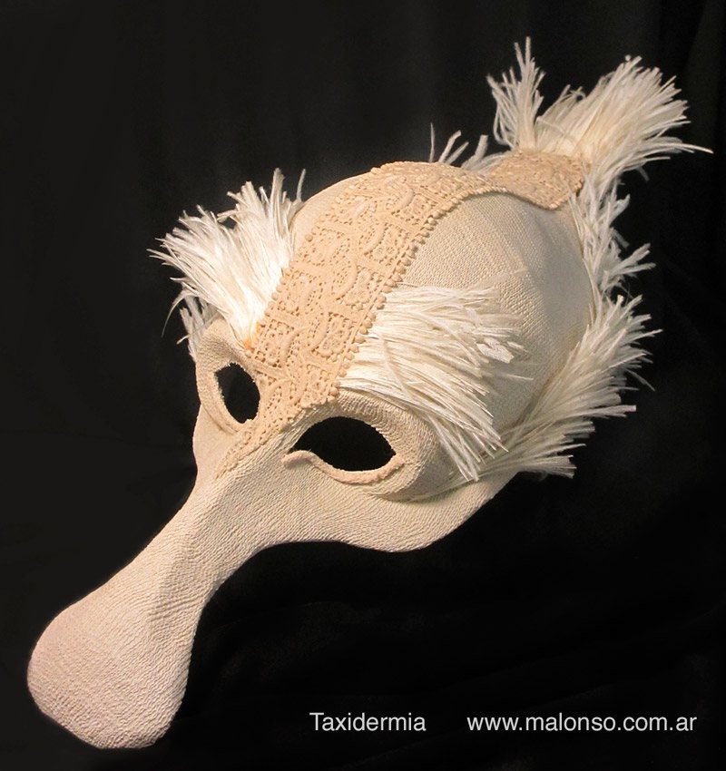 Taxidermia
