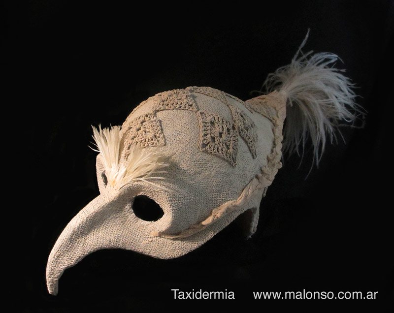 Taxidermia